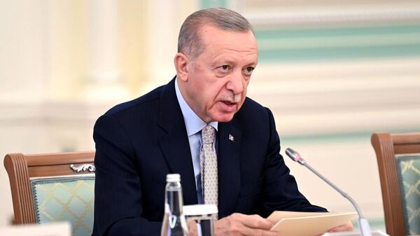 Tổng thống Thổ Nhĩ Kỳ Recep Tayyip Erdogan - Sputnik Việt Nam