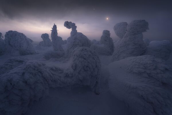 Frozen của nhiếp ảnh gia Nhật Koki Dote, người đoạt giải Snow And Ice tại Cuộc thi The 9th International Landscape Photographer of the Year. - Sputnik Việt Nam