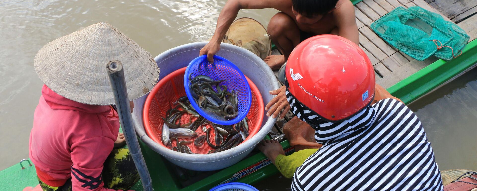 Người dân vùng đầu nguồn của tỉnh Đồng Tháp tranh thủ bắt cá trong những ngày cá từ đồng ruộng bơi ra các nhánh sông. - Sputnik Việt Nam, 1920, 06.12.2022