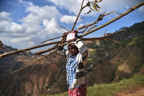 Một phụ nữ gánh củi trên núi ở Pagnol, Haiti. - Sputnik Việt Nam