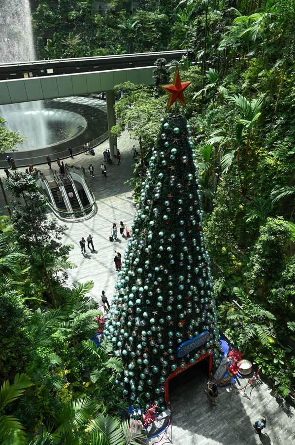 Mọi người đi bộ cạnh cây thông Noel được trưng bày trong khung cảnh “rừng rậm” tại Sân bay Jewel Changi của Singapore. Mọi người đi bộ cạnh cây thông Noel được trưng bày trong khung cảnh “rừng rậm” tại Sân bay Jewel Changi của Singapore. - Sputnik Việt Nam