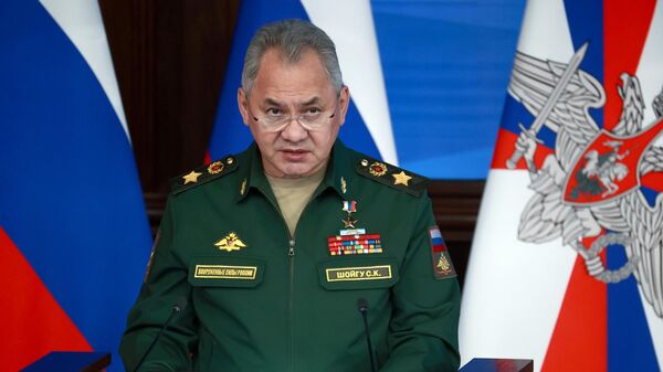 Bộ trưởng Quốc phòng Nga Sergei Shoigu - Sputnik Việt Nam