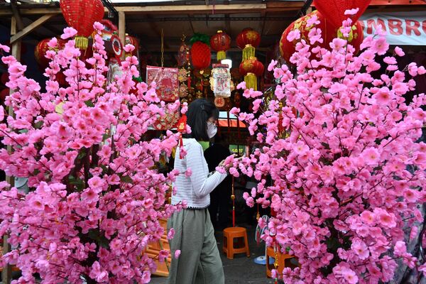 Chuẩn bị đón Tết Nguyên Đán ở Jakarta. - Sputnik Việt Nam