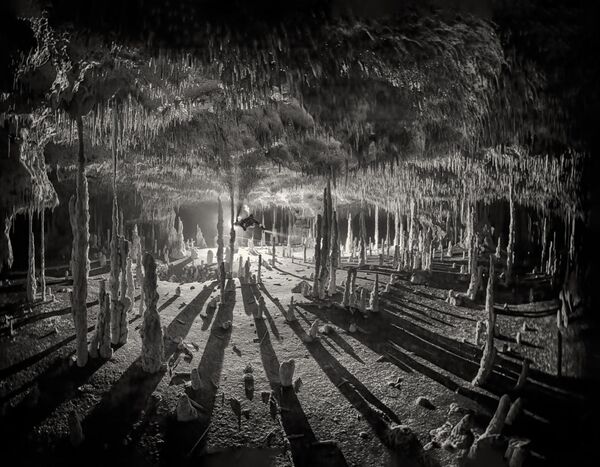 Long Shadows của Martin Broen, giải thưởng trong hạng mục Black &amp; White, cuộc thi Ocean Art Underwater Photo 2022. - Sputnik Việt Nam