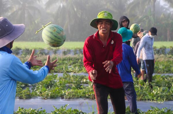 Nông dân phấn khởi vì nông sản Tết trúng mùa, được giá. - Sputnik Việt Nam