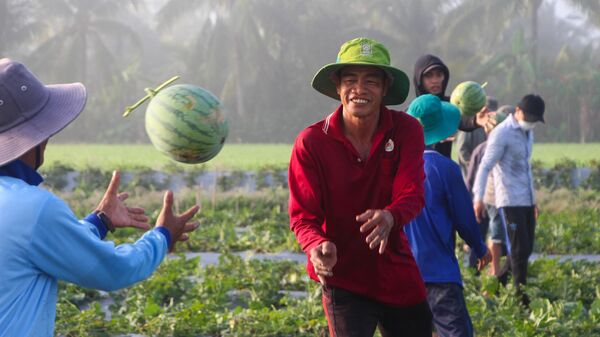 Nông dân phấn khởi vì nông sản Tết trúng mùa, được giá. - Sputnik Việt Nam