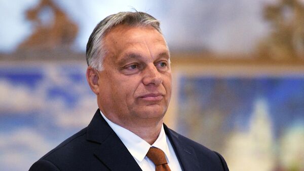 Thủ tướng Hungary Viktor Orban - Sputnik Việt Nam