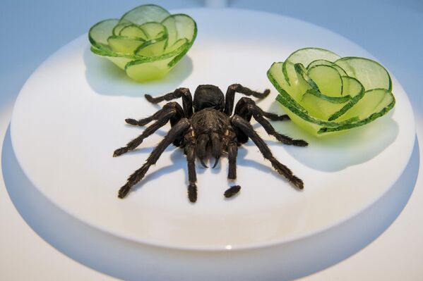"Tarantula nướng" từ Campuchia. "Tarantula nướng" từ Campuchia. - Sputnik Việt Nam