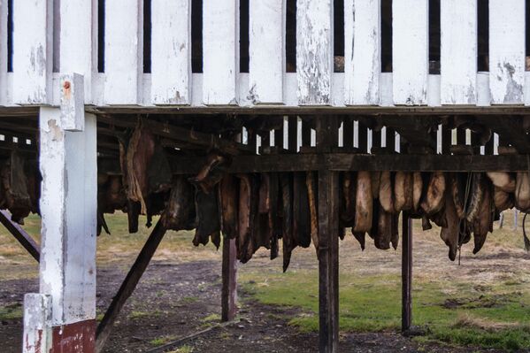 Hakarl. Hakarl. - Sputnik Việt Nam