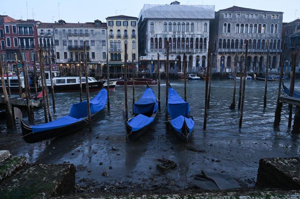 Gondola trên kênh khi thủy triều xuống ở Venice. - Sputnik Việt Nam
