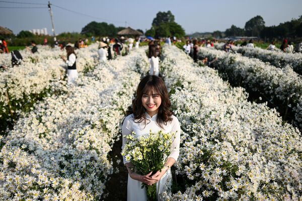 Thiếu nữ giữa vườn cúc họa mi trong Thảo Cầm Viên Hà Nội, Việt Nam. - Sputnik Việt Nam