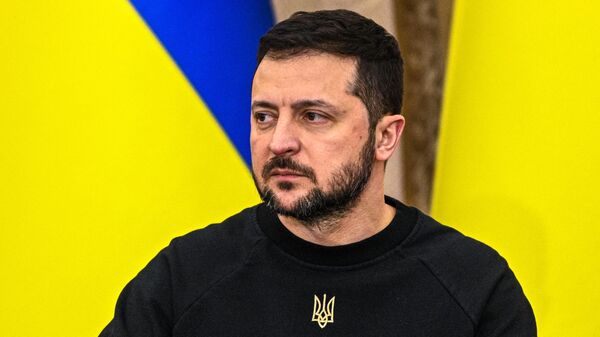 Tổng thống Ukraina Vladimir Zelensky  - Sputnik Việt Nam