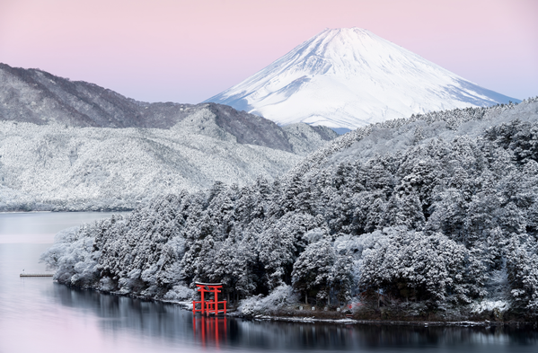 &quot;God’s Garden&quot; (Khu vườn của Chúa) của nhiếp ảnh gia Nhật Takahiro Gamou lọt vào danh sách rút gọn tại hạng mục Open Travel (Du lịch Mở) tại Giải thưởng Nhiếp ảnh Thế giới Sony 2023. - Sputnik Việt Nam