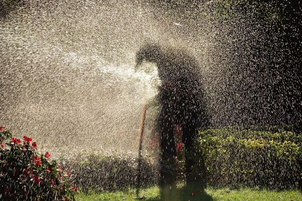 Bức ảnh Heart of Water của Yue Qiu đoạt giải hạng mục Silhouettes tại Mobile Photography Awards lần thứ 12. - Sputnik Việt Nam