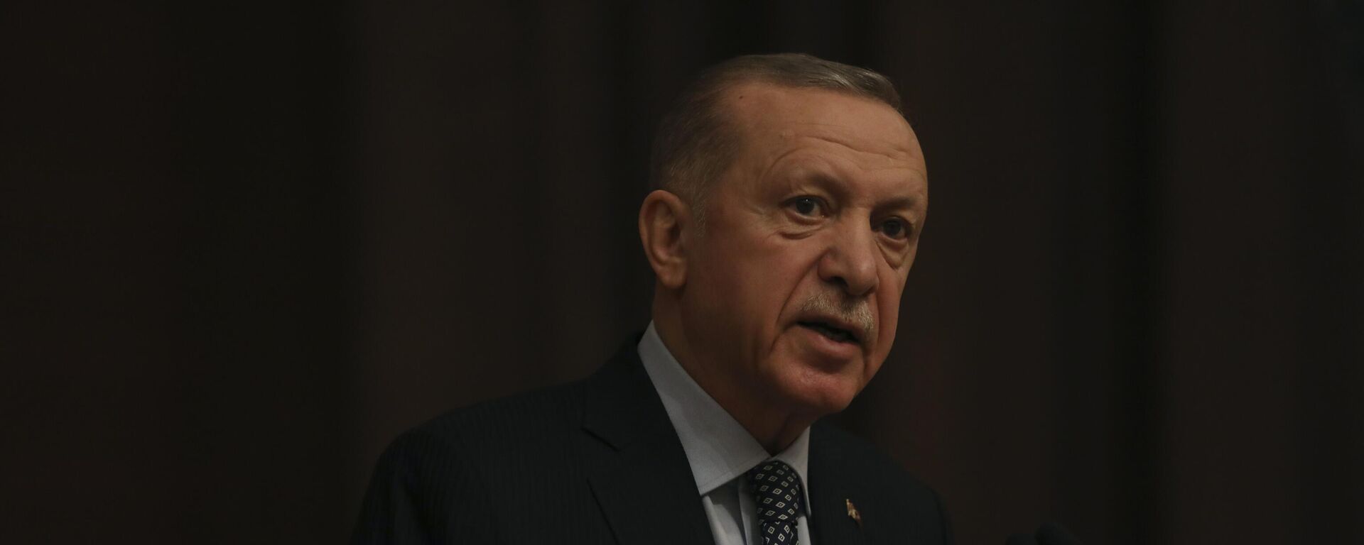 Tổng thống Thổ Nhĩ Kỳ Recep Tayyip Erdogan - Sputnik Việt Nam, 1920, 25.09.2024