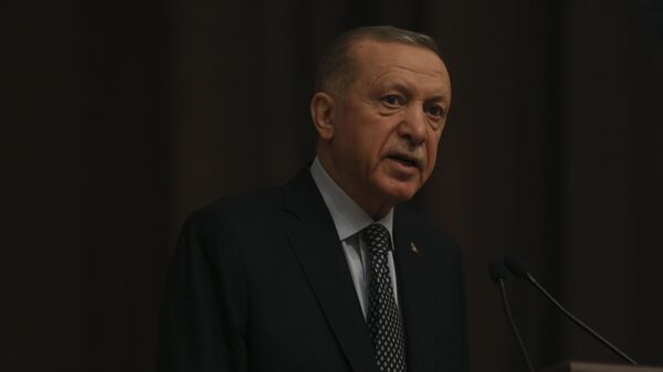 Tổng thống Thổ Nhĩ Kỳ Recep Tayyip Erdogan - Sputnik Việt Nam