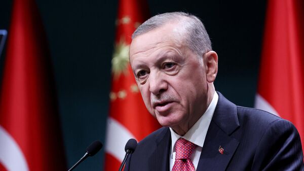 Tổng thống Thổ Nhĩ Kỳ Recep Tayyip Erdogan - Sputnik Việt Nam