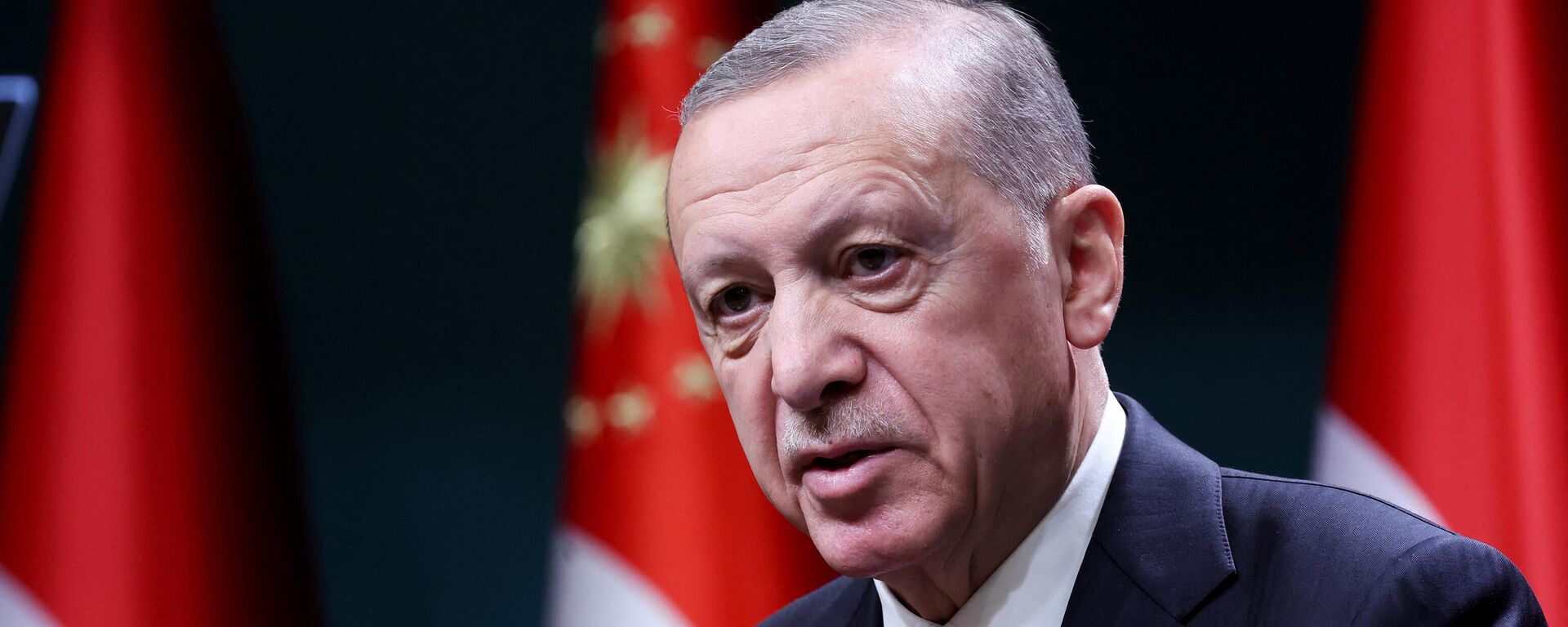 Tổng thống Thổ Nhĩ Kỳ Recep Tayyip Erdogan - Sputnik Việt Nam, 1920, 17.03.2023