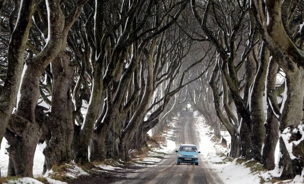 Ô tô chạy qua đường hầmDarkHedgestree, từng xuất hiện trong bộ phim truyền hình Game of Thrones, Bắc Ireland. - Sputnik Việt Nam