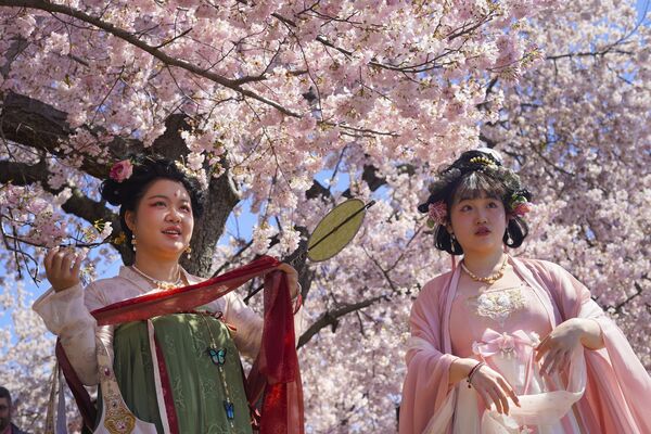 Người phụ nữ đi dạo ở Tidal Basin trong mùa hoa anh đào, Washington. - Sputnik Việt Nam