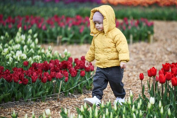 Du khách trẻ tuổi tại lễ khai mạc cuộc triển lãm Diễu hành hoa Tulip hàng năm tại Vườn bách thảo Nikitsky ở Crưm. - Sputnik Việt Nam