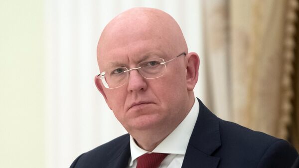 Vasily Nebenzya, Đại diện thường trực của Nga tại Liên hợp quốc - Sputnik Việt Nam
