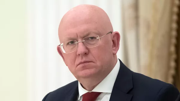 Vasily Nebenzya, Đại diện thường trực của Nga tại Liên hợp quốc - Sputnik Việt Nam