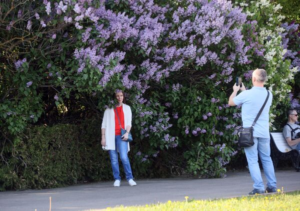 Thanh thiếu niên chụp ảnh gần bụi tử đinh hương đang nở hoa ở Moskva. - Sputnik Việt Nam