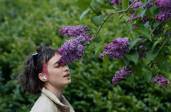 Cô gái bên khóm tử đinh hương đang nở hoa trong công viên ở St. Petersburg. - Sputnik Việt Nam