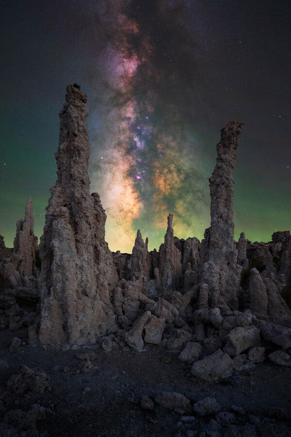 Bức ảnh Alien Forest của nhiếp ảnh gia Mỹ gốc Ba Lan Marcin Zając, góp mặt trong Top 25 cuộc thi 2023 Milky Way photographer of the year. - Sputnik Việt Nam