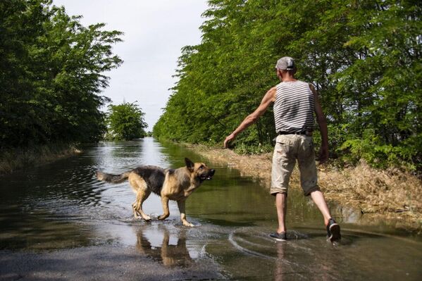 Người đàn ông với con chó ở làng Korsunka, nơi gần như bị ngập hoàn toàn sau khi nhà máy thủy điện Kakhovka bị phá hủy. - Sputnik Việt Nam