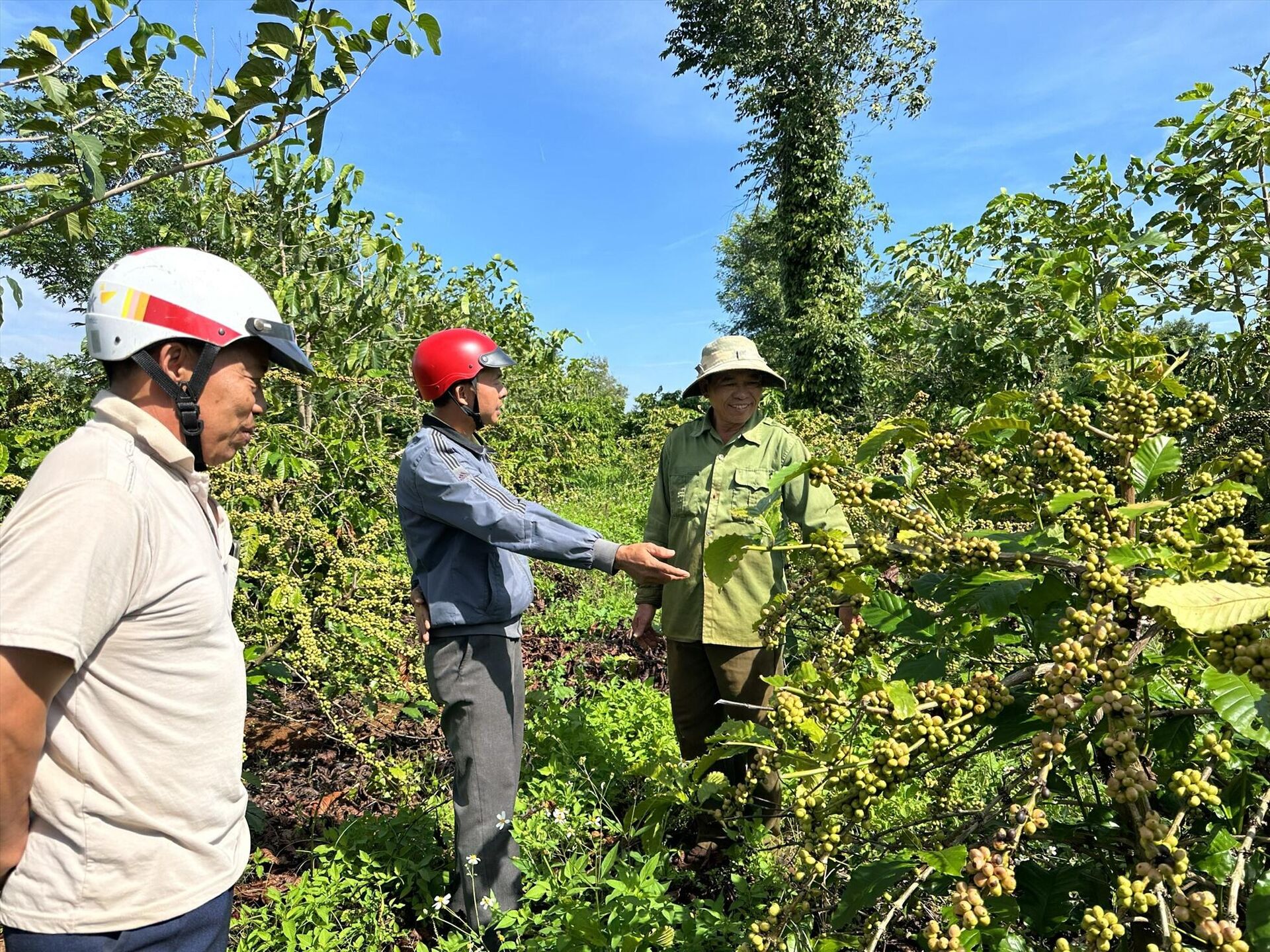 Người lao động ở 2 xã Ea Tiêu và Ea Ktur, huyện Cư Kuin đã nghiêm túc bàn giao mặt bằng để thi công tuyến đường tránh Đông, TP.Buôn Ma Thuột. - Sputnik Việt Nam, 1920, 14.06.2023