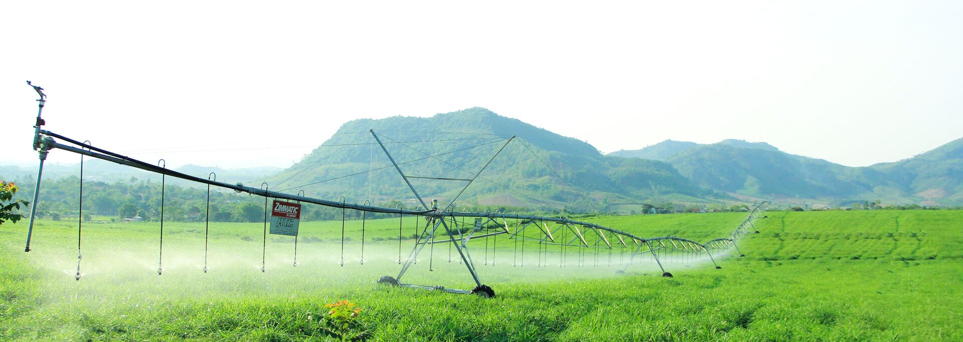 Cụm trang trại của Tập đoàn TH ở Nghệ An (Việt Nam) - Sputnik Việt Nam, 1920, 07.07.2023