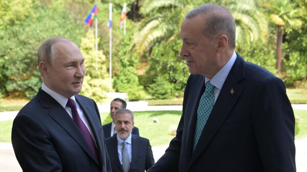 Tổng thống Nga V. Putin hội đàm với Tổng thống Thổ Nhĩ Kỳ R. T. Erdogan - Sputnik Việt Nam