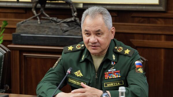 Bộ trưởng Bộ Quốc phòng Nga Sergei Shoigu - Sputnik Việt Nam