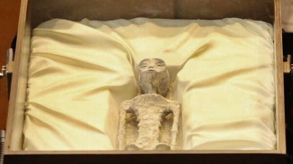 Xác ướp được nhà báo và nhà nghiên cứu UFO Jaime Maussan đã trình
bày ở Mexico - Sputnik Việt Nam