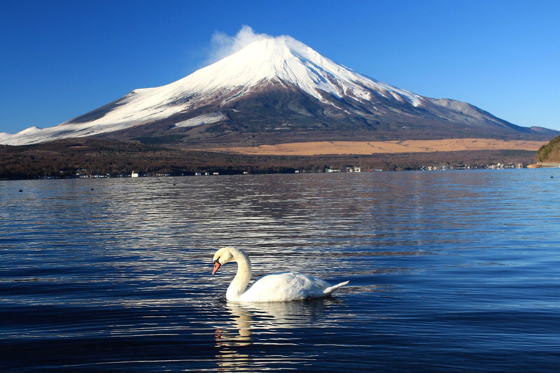 Núi Fuji, Nhật Bản - Sputnik Việt Nam, 1920, 04.11.2024