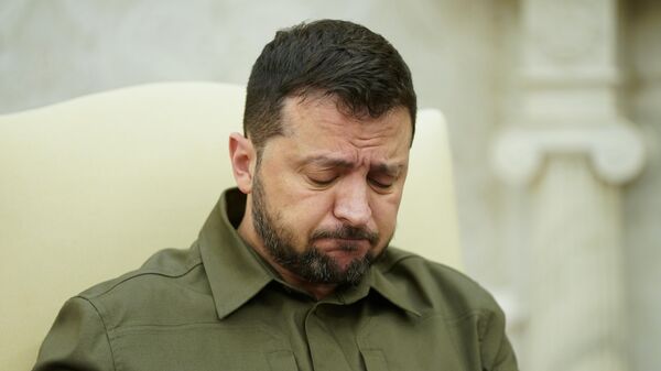 Tổng thống Ukraina Vladimir Zelensky - Sputnik Việt Nam