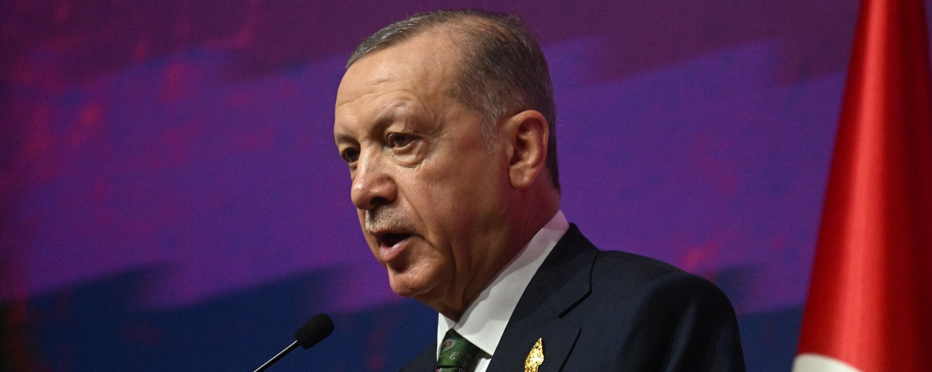 Tổng thống Thổ Nhĩ Kỳ Recep Tayyip Erdogan  - Sputnik Việt Nam, 1920, 11.07.2024