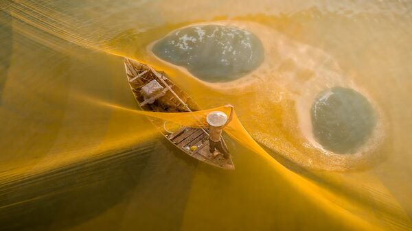 Yellow Net 1 của nhiếp ảnh gia Singapore Chin Leong Teo,  đoạt giải The RAW Planet tại  cuộc thi 14th EPSON International Pano Awards - Sputnik Việt Nam