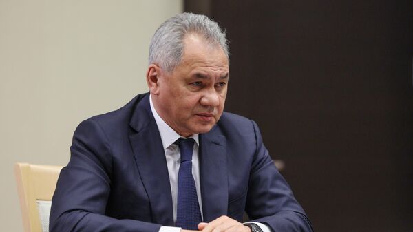 Thư ký Hội đồng An ninh Nga Sergei Shoigu - Sputnik Việt Nam