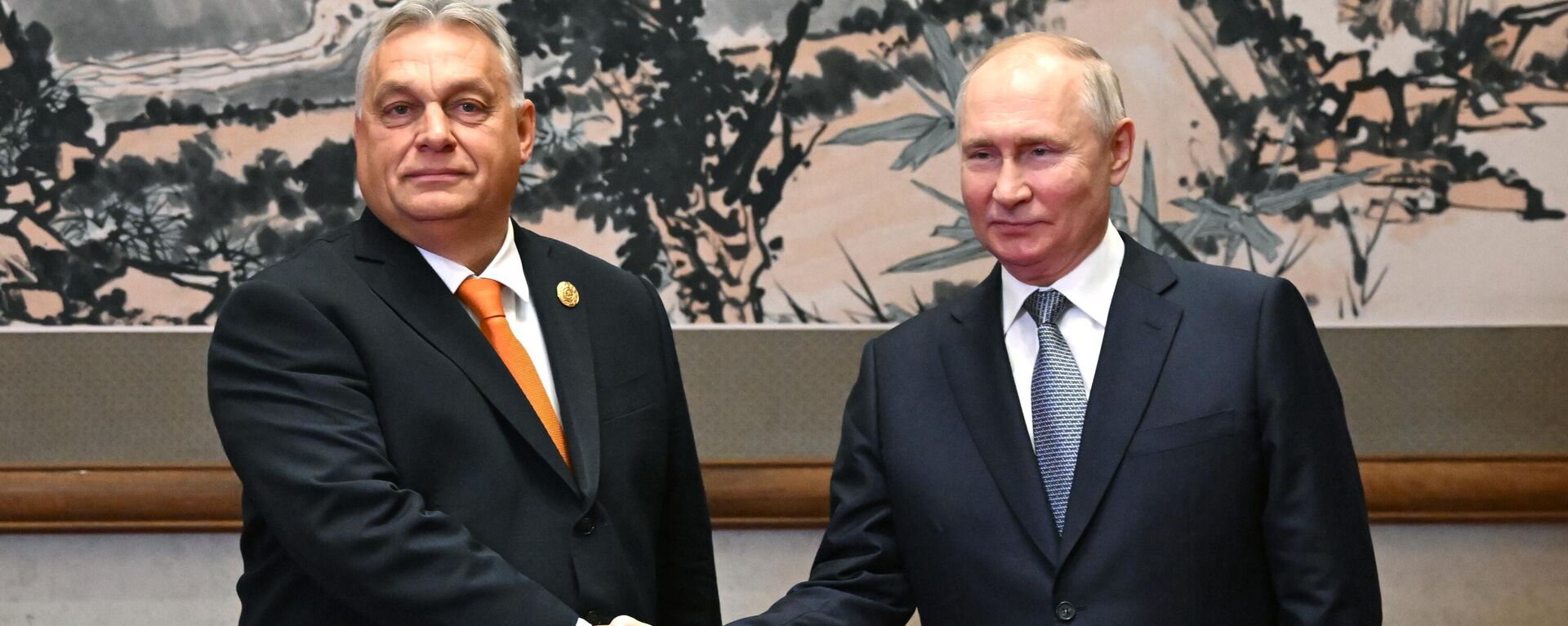 Tổng thống Nga Vladimir Putin và Thủ tướng Hungary Viktor Orban - Sputnik Việt Nam, 1920, 06.07.2024