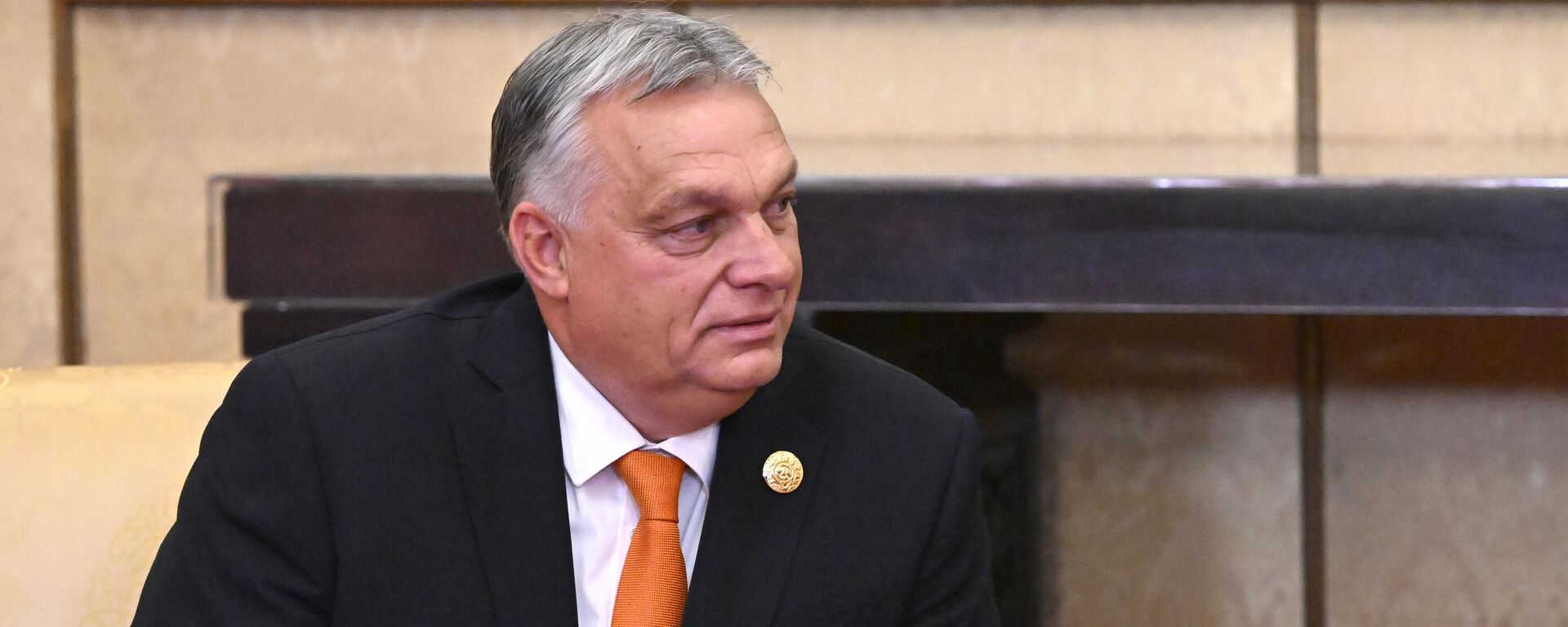 Thủ tướng Hungary Viktor Orban - Sputnik Việt Nam, 1920, 24.05.2024