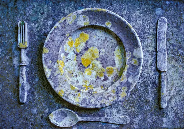 Tác phẩm Lichen Dinner của nhiếp ảnh gia người Tây Ban Nha Roberto Bueno, người chiến thắng ở hạng mục Plants and Fungi của cuộc thi Nhiếp ảnh gia động vật hoang dã Châu Âu năm 2023 Tác phẩm Lichen Dinner của nhiếp ảnh gia người Tây Ban Nha Roberto Bueno, người chiến thắng ở hạng mục Plants and Fungi của cuộc thi Nhiếp ảnh gia động vật hoang dã Châu Âu năm 2023