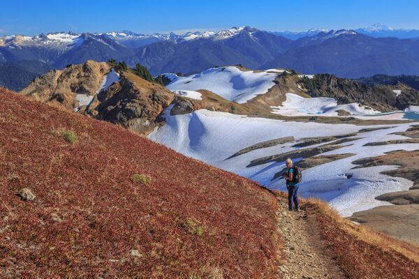 Vườn quốc gia North Cascades, Mỹ - Sputnik Việt Nam