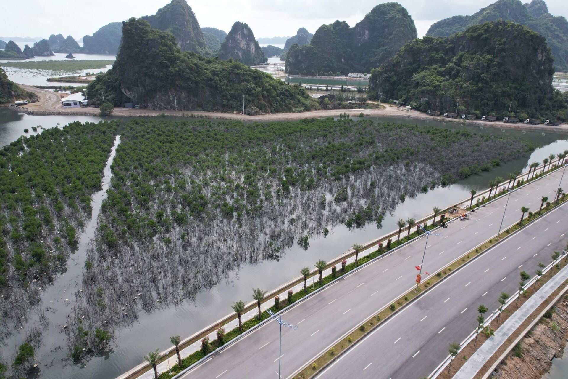 Quảng Ninh: Phạt hành chính 125 triệu đồng đối với doanh nghiệp gây ô nhiễm môi trường vịnh Hạ Long - Sputnik Việt Nam, 1920, 08.11.2023