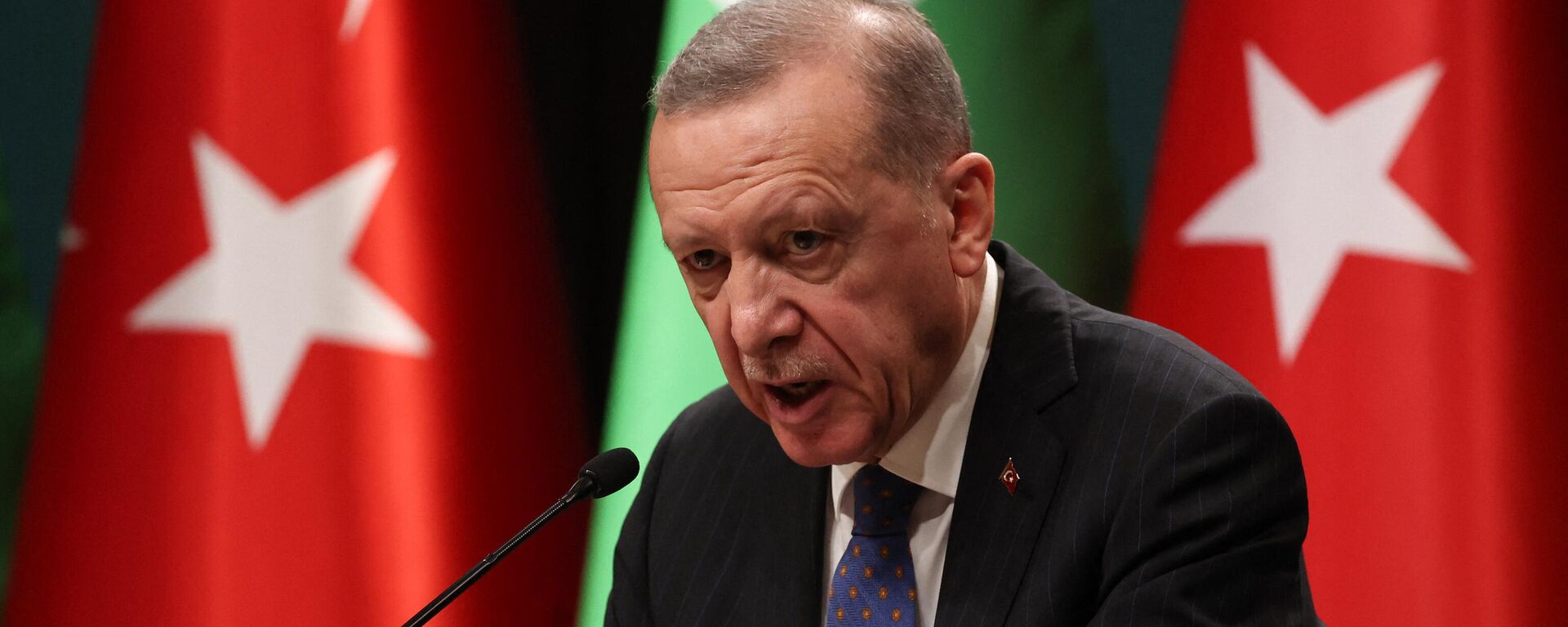 Tổng thống Thổ Nhĩ Kỳ Recep Tayyip Erdogan - Sputnik Việt Nam, 1920, 09.12.2023