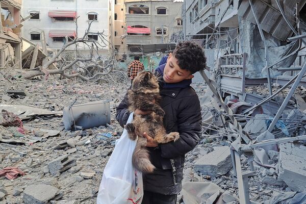 Cậu bé Palestine giải cứu con mèo khỏi đống đổ nát ở Beit Lahiya, phía bắc Dải Gaza sau vụ đánh bom của Israel. - Sputnik Việt Nam