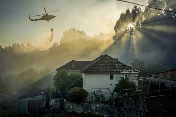 Bức ảnh Quick Assistance của nhiếp ảnh gia Adrián Irago, lọt chung kết hạng mục Keeping 1.5 Alive cuộc thi The Environmental Photographer of the Year 2023 - Sputnik Việt Nam