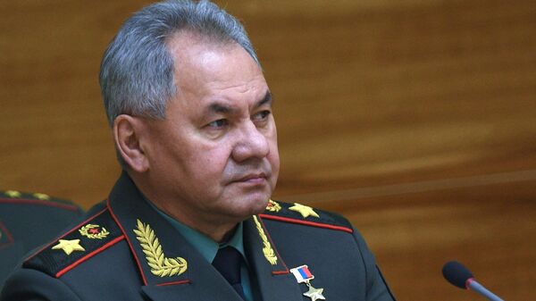 Bộ trưởng Bộ Quốc phòng Nga Sergei Shoigu - Sputnik Việt Nam